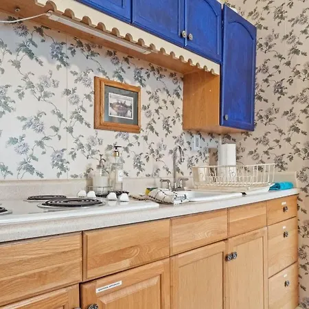 Cozy Condo In The Governor'S Mansion Pets Okay Leadville Exterior foto